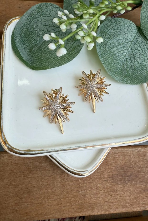 Steel Jewelled Polar Star Earrings
