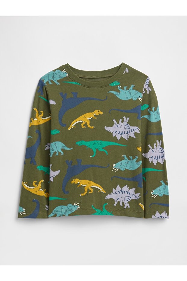 Baby Boy Green Dinosaur Graphic Printed T-Shirt