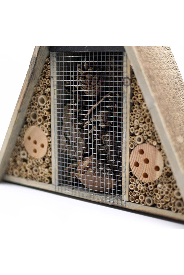 Vertex Böcek Oteli - 6