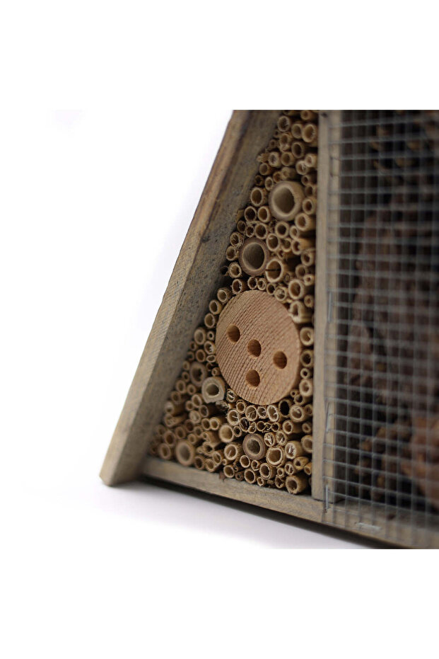 Vertex Böcek Oteli - 7