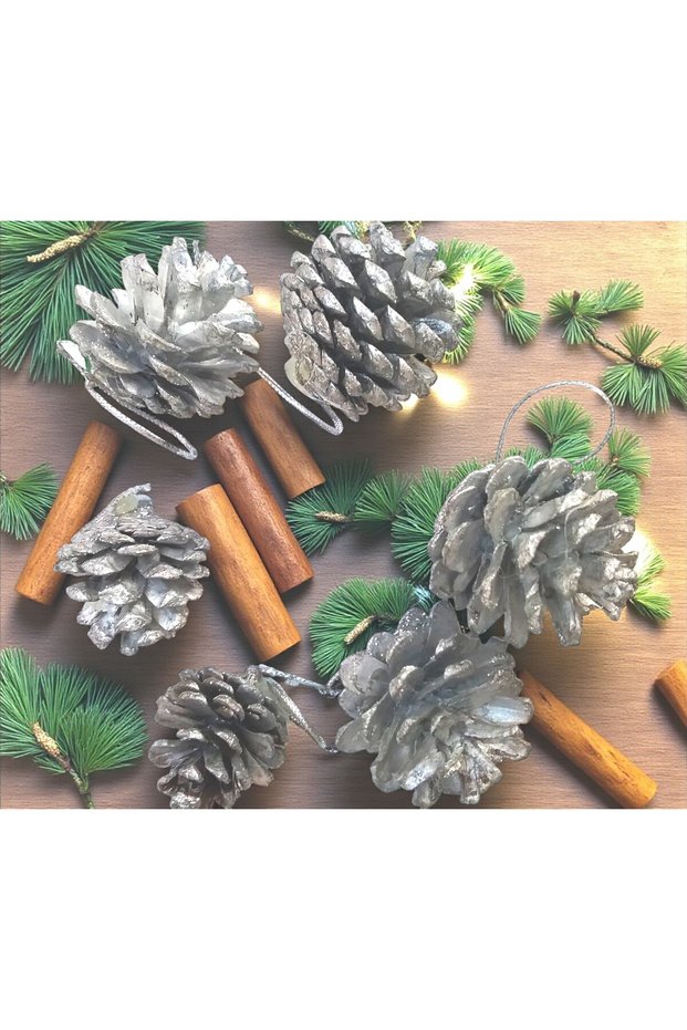 6-Piece Silver Color Real Pine Cone Christmas Tree and Decor Ornament – 4 cm