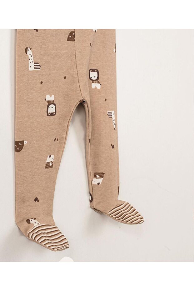 Aslan Patikli Üçlü - 2