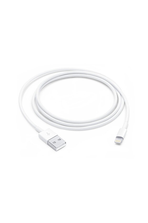 Charging and data synchronization cable compatible with iPhone, 1m, white - 2