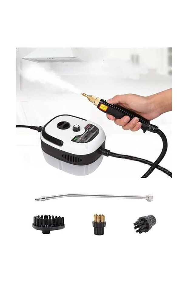 TAYGUM Handheld Steam Cleaner, Car Steam Cleaner with 3 Brush Heads, High Temperature Fast Heating S