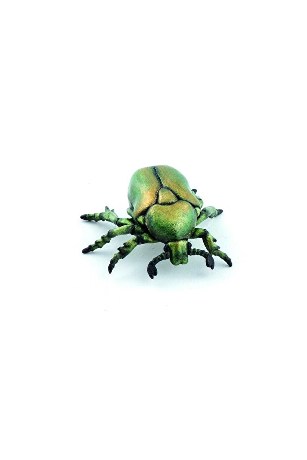 Figurine Carabus - 1