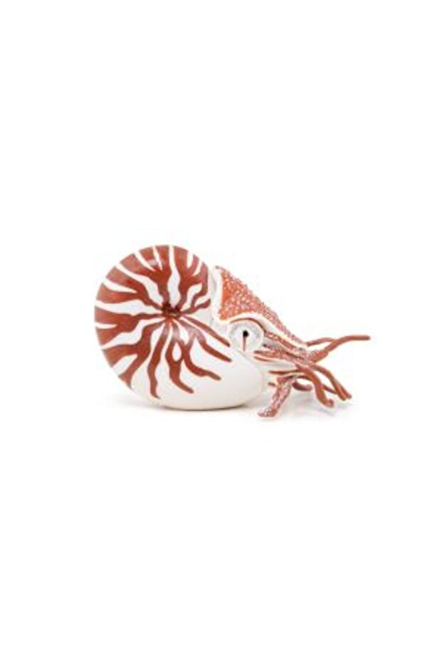 FIGURINA NAUTILUS - 2