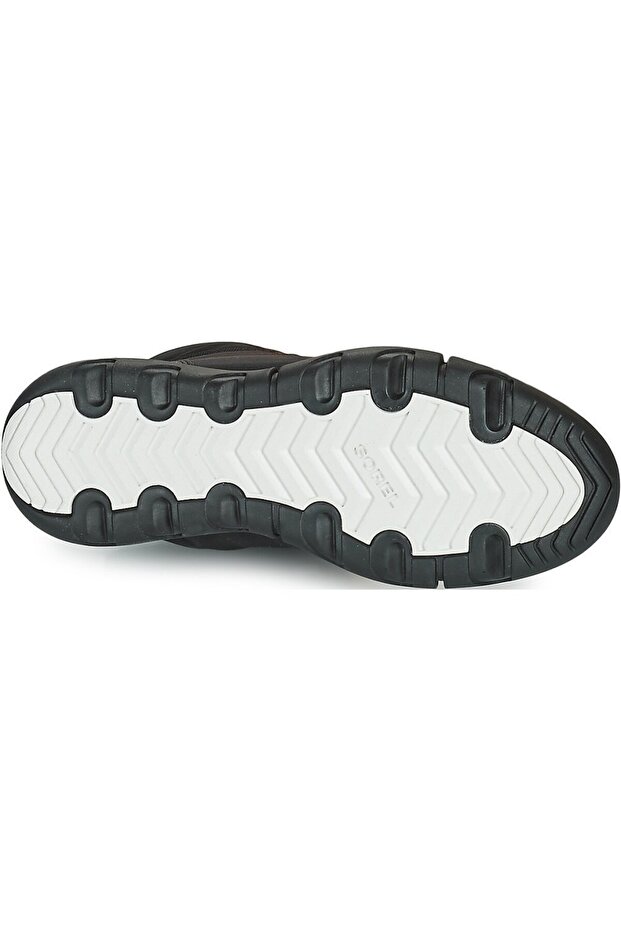 Explorer II Carnival - 4