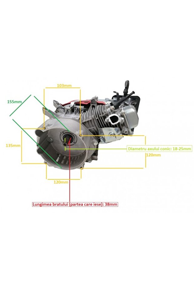 Engine generator (conical shaft) 6.5HP (without tank) - 2