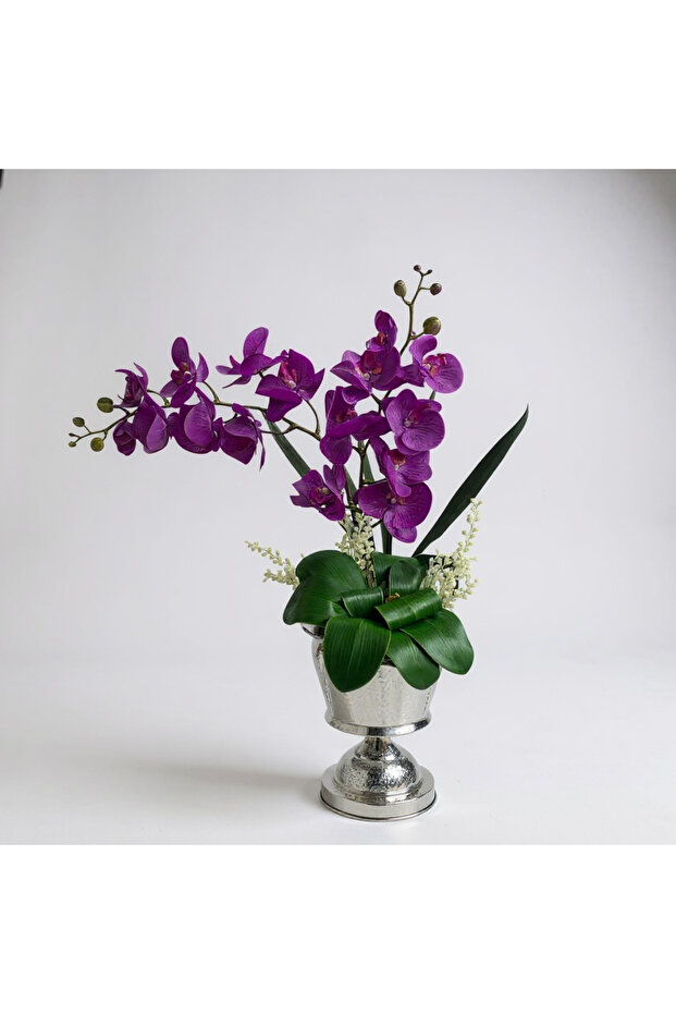 Mor İslak Orkide - 1