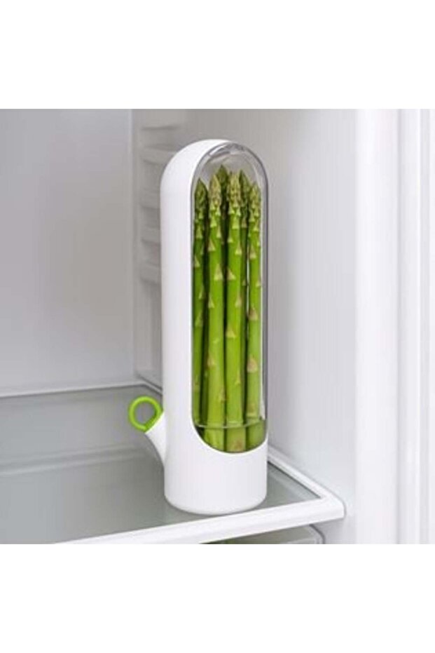 RECIPIENT PASTRARE CONDIMENTE - 1