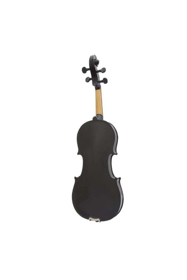 Classical violin, Wood, Size 4/4, 1 bow 1/2 and a bow 4/4, case included - 3