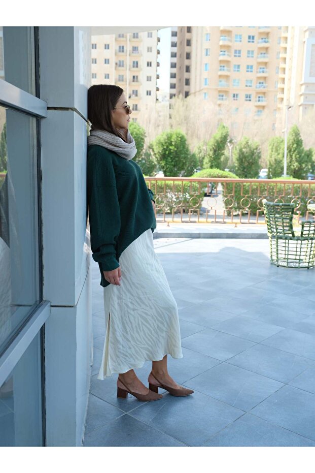 مضخات سالينتيس - 4