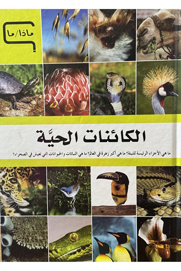موسوعة ماذا ما الكائنات الحية