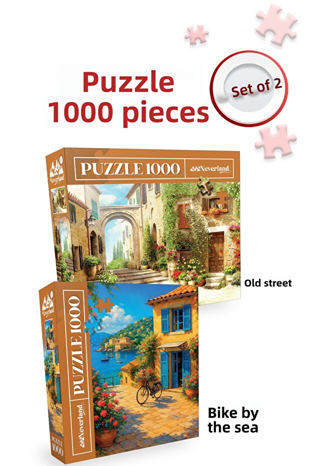 2 Pcs 1000 Piece Puzzle- Bicycle on an Old Street and by the Sea