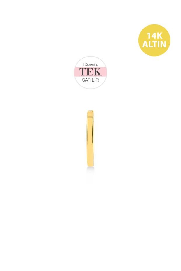 Sade Taşsız (10mm) Helix Hoop, 14KAltın Küpe (TEK Satılır) - 2