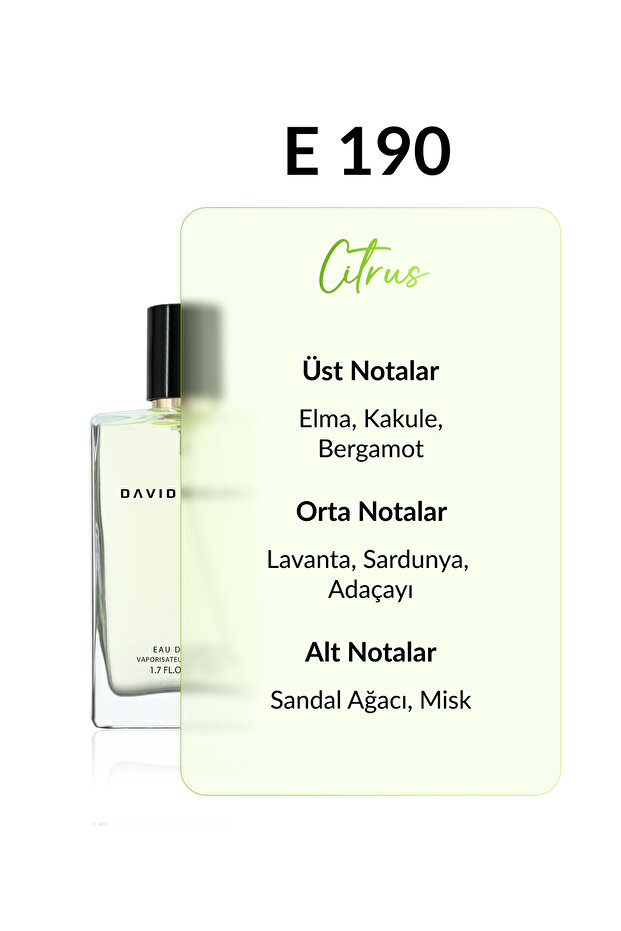 E190 Corendon 50 ml Erkek Parfüm | Citrus - 2