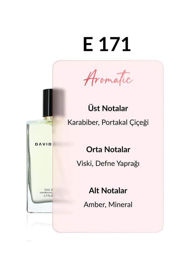 E171 Montclair 50 ml Erkek Parfüm | Aromatic - 3