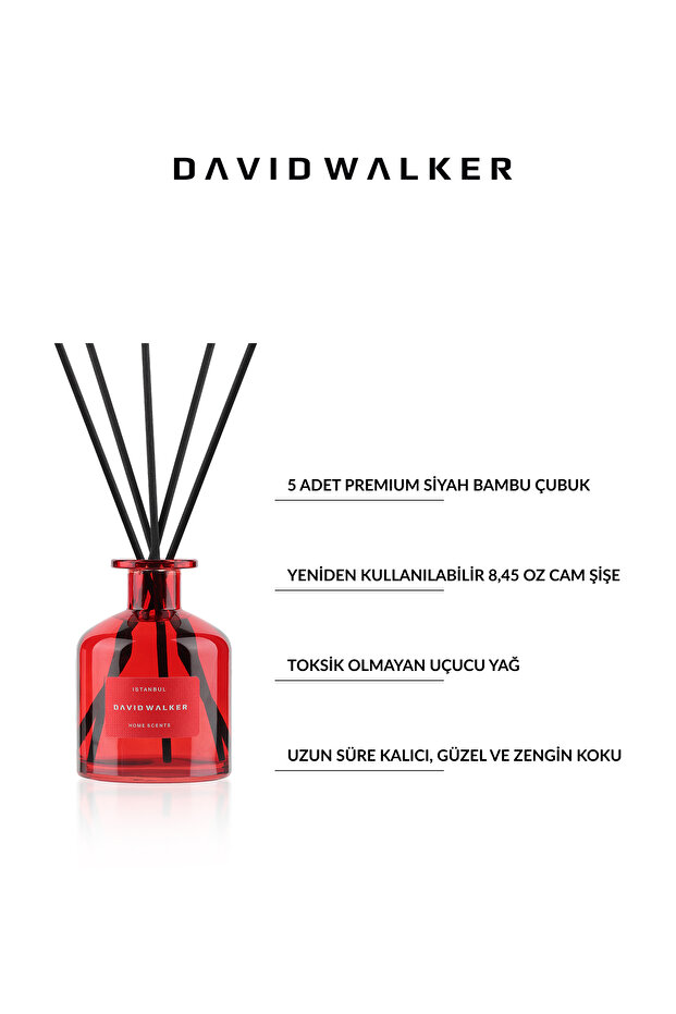 Istanbul 250 ml Ortam Kokusu - 2