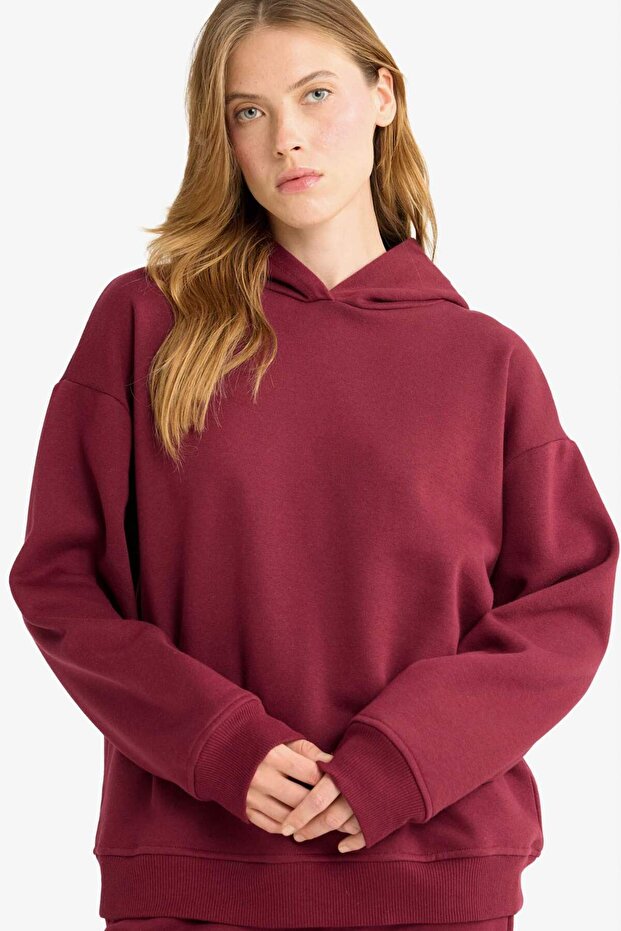 Relax Fit Kapüşonlu Basic Düz Kalın Sweatshirt D9935AX25WN - 1