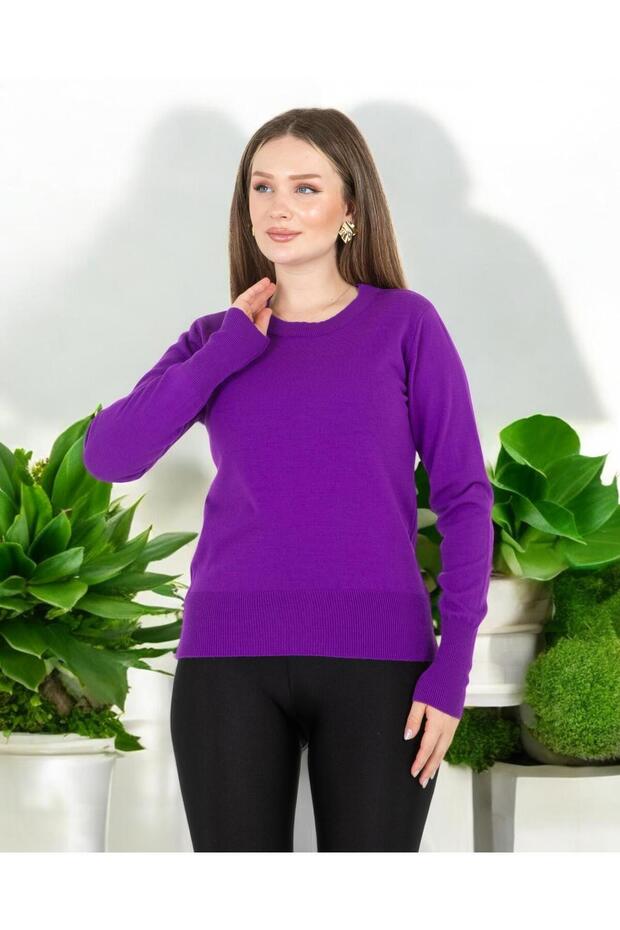 guler rotund Regular Mold basic Tricotaj Pulover Violet - 2
