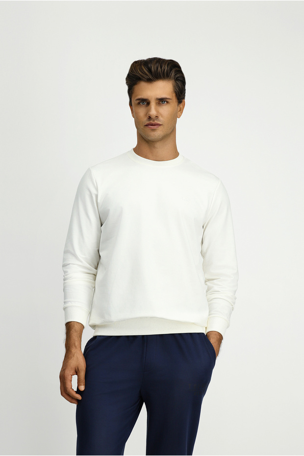 Bisiklet Yaka Regular Fit Nakışlı Basic Sweatshirt - 4