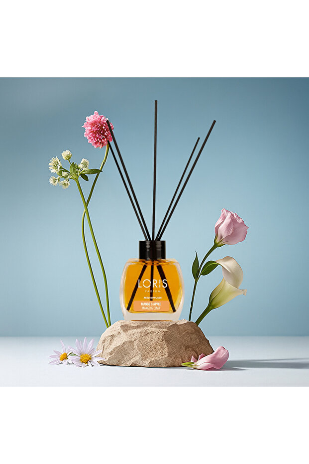 Mango Elma Oda Kokusu 120 ml - 1