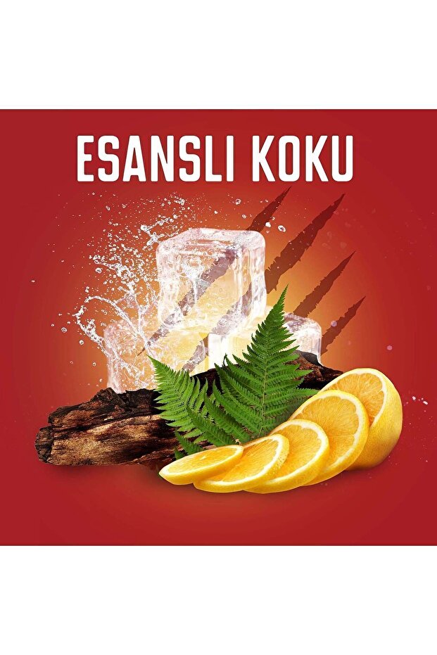 Bearglove Deodorant 150 ml - 6