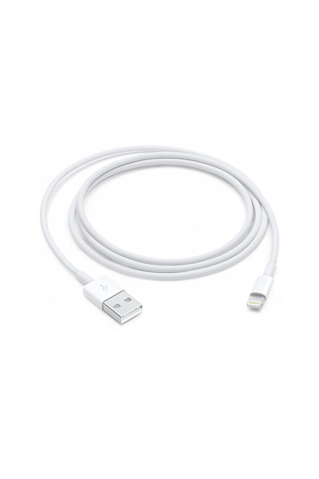 Apple Lightning Data Cable 1m White - 4