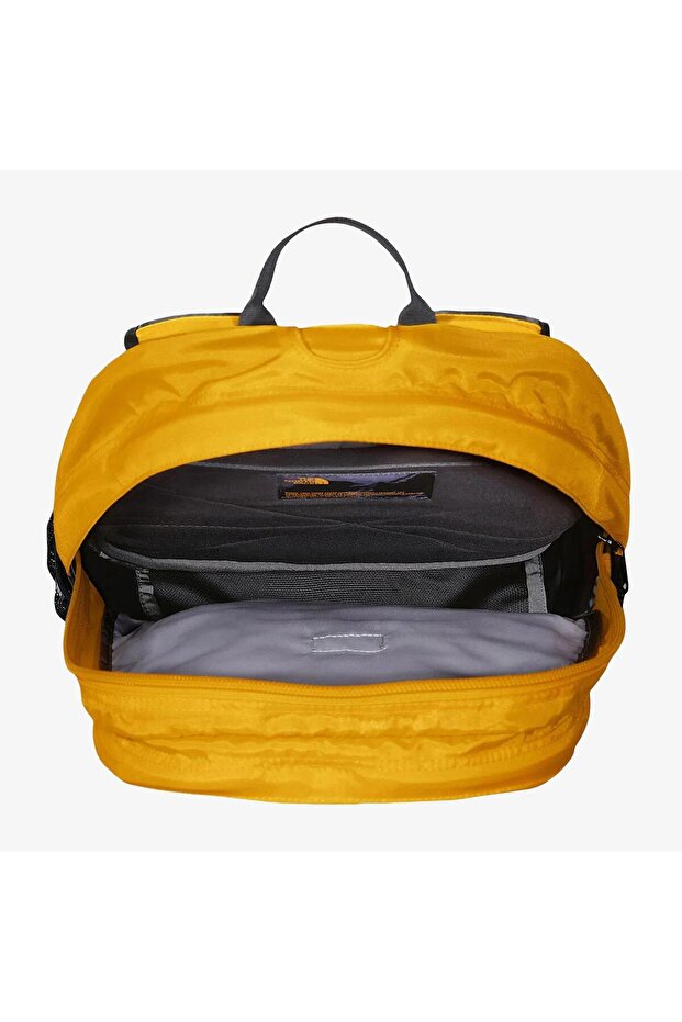 Borealis CLASSIC 29Lt Çanta NF00CF9C4WP1 Altın-STD - 4