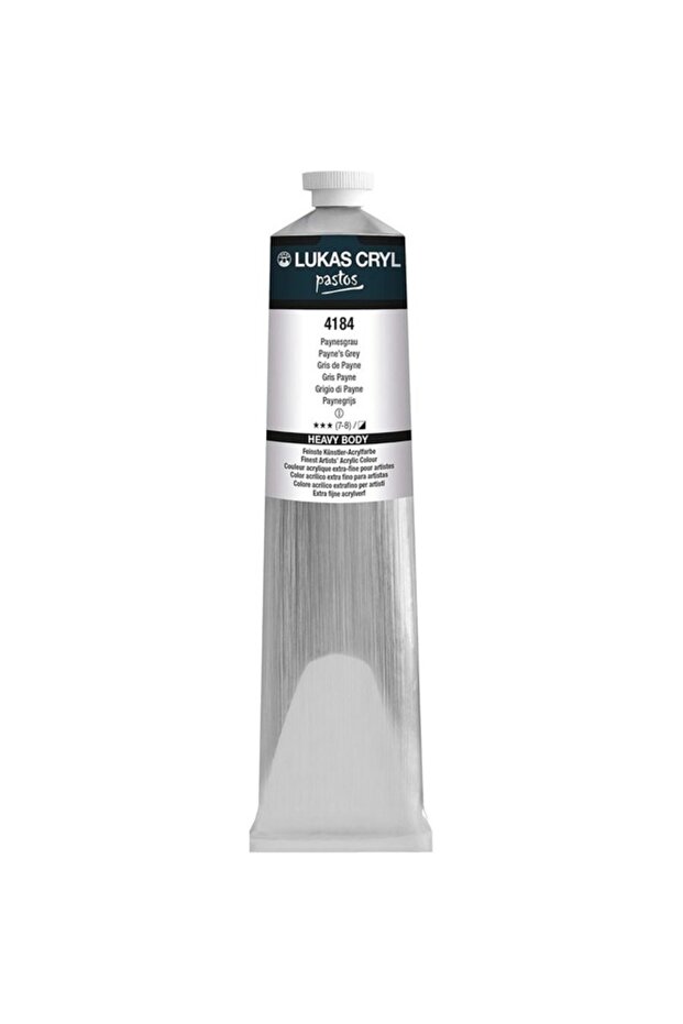 CRYL PASTOS 200ML PAYNES GREY
