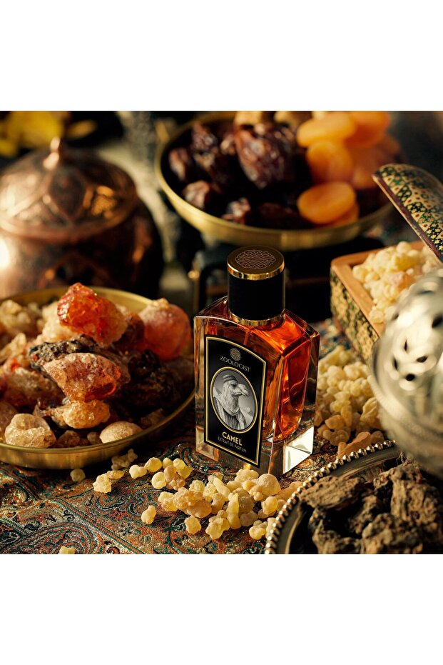 Camel Extrait De Parfum 60ml - 4