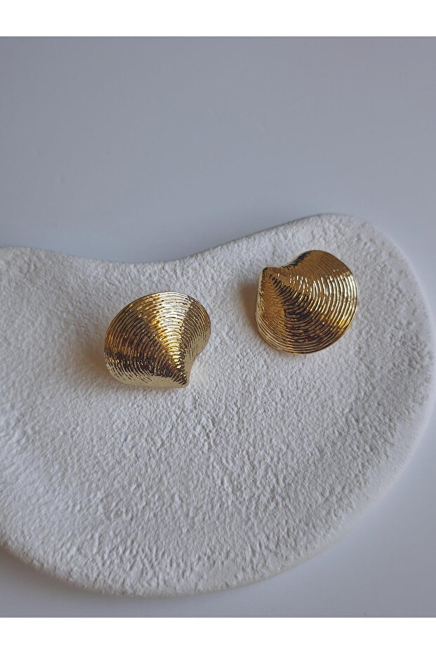 Serrated Plate Mussel Figure Appearance Earrings
