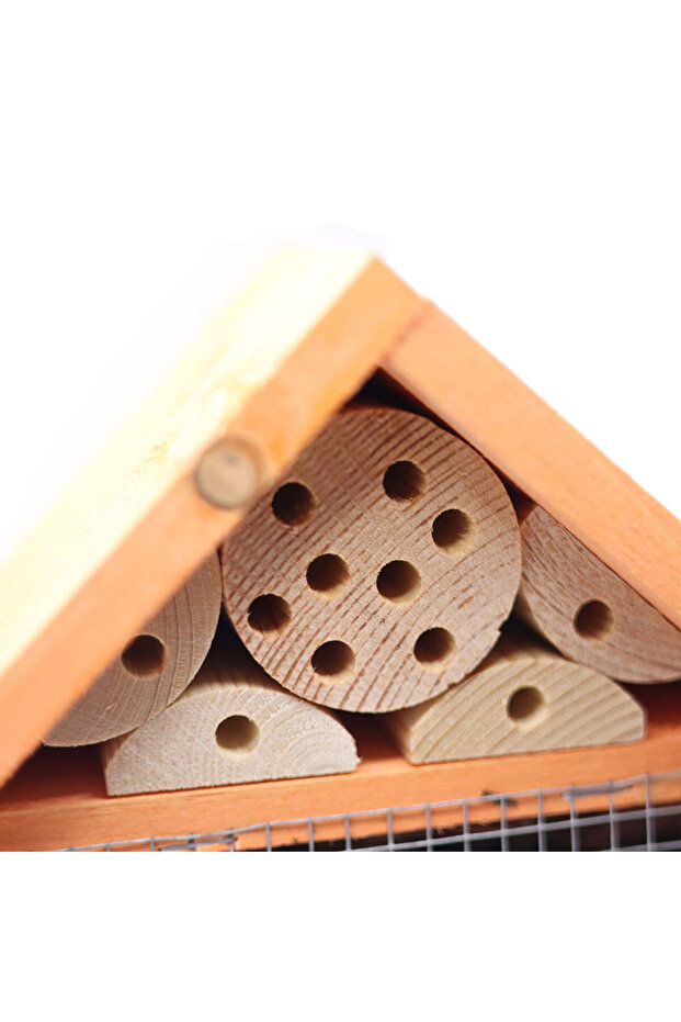 Apex Böcek Oteli - 8