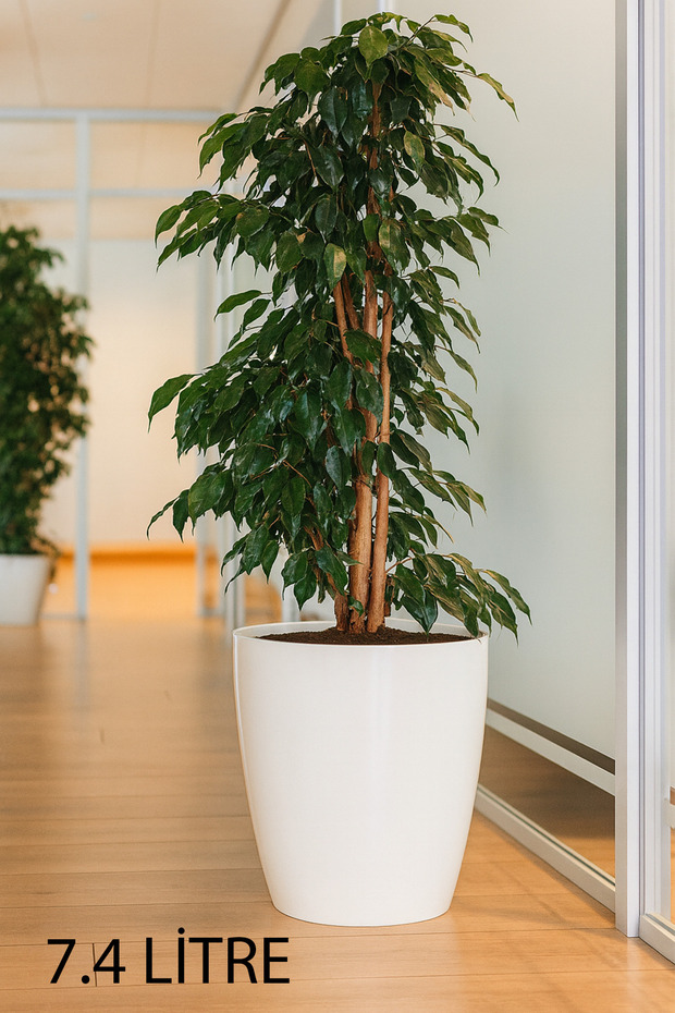 “2 Adet No:4 –7.4 Litre Tabaksız, Drenaj Izgaralı, Parlak Tasarımlı Dekoratif Bitki ve Çiçek Saksısı - 5