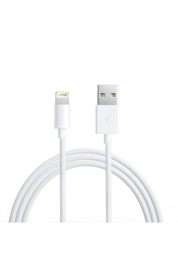 Lightning Data and Charging Cable for iPhone, Simple White - 1