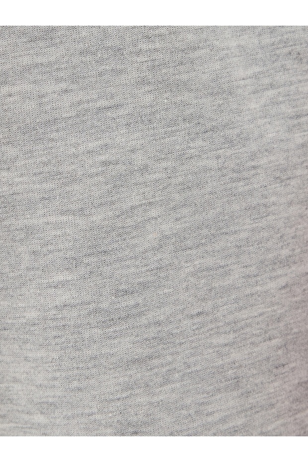 Regular Fit Erkek Şort - 6