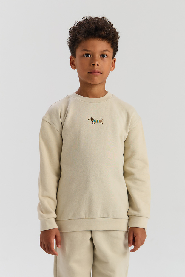Boy Beige Sweatshirt - 2