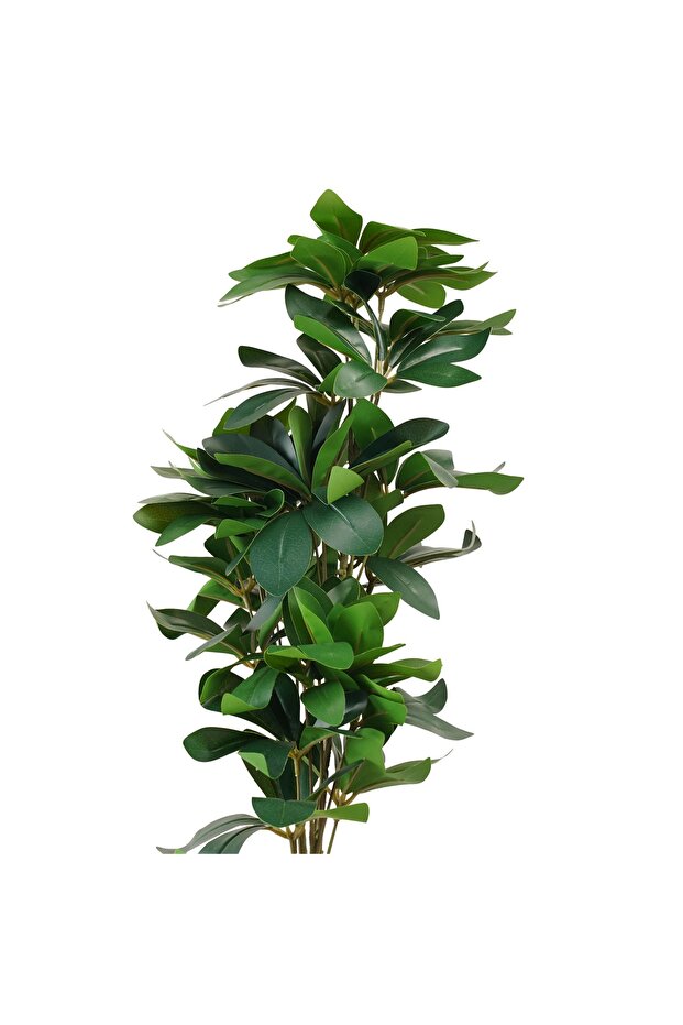 شجرة شفليرا صناعية – 70 سم - 3