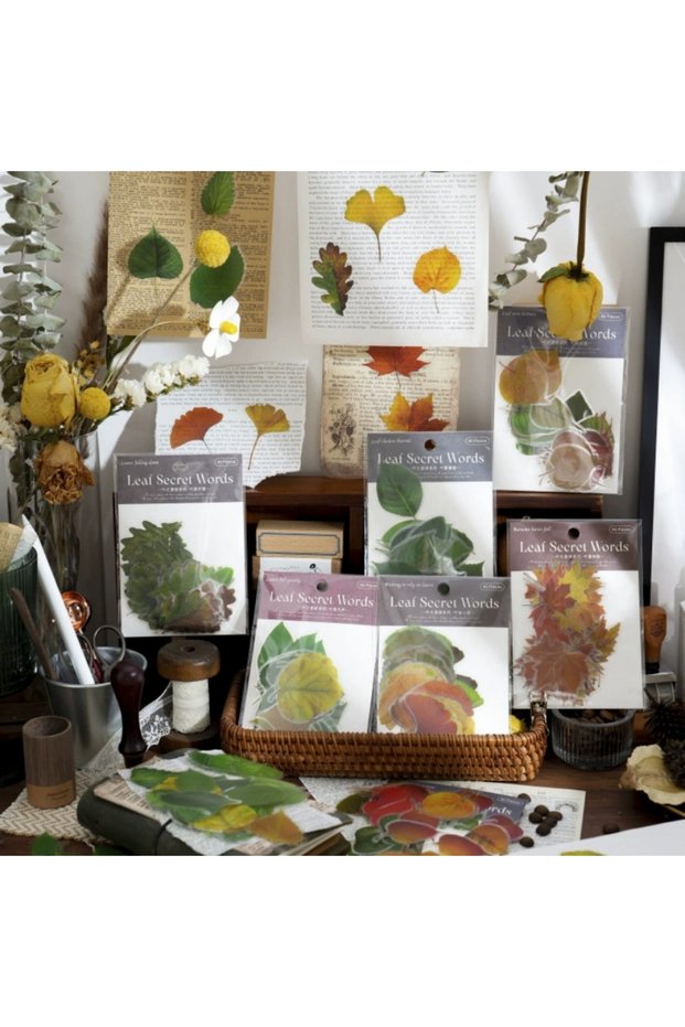 O13-Opportunity Product 40 Pieces Leaf Pet Stickers - Number: 2