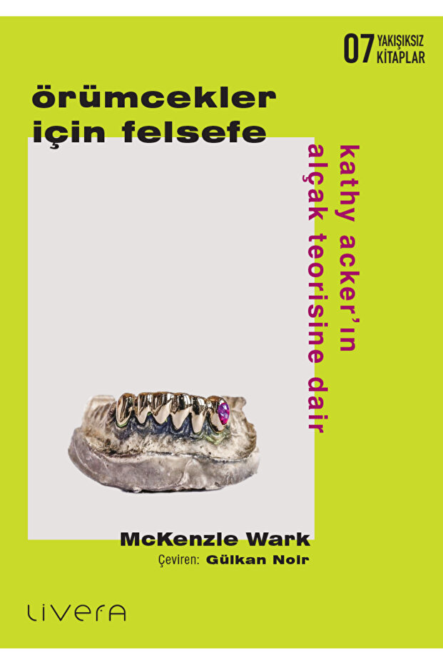 ÖRÜMCEKLER İÇİN FELSEFE