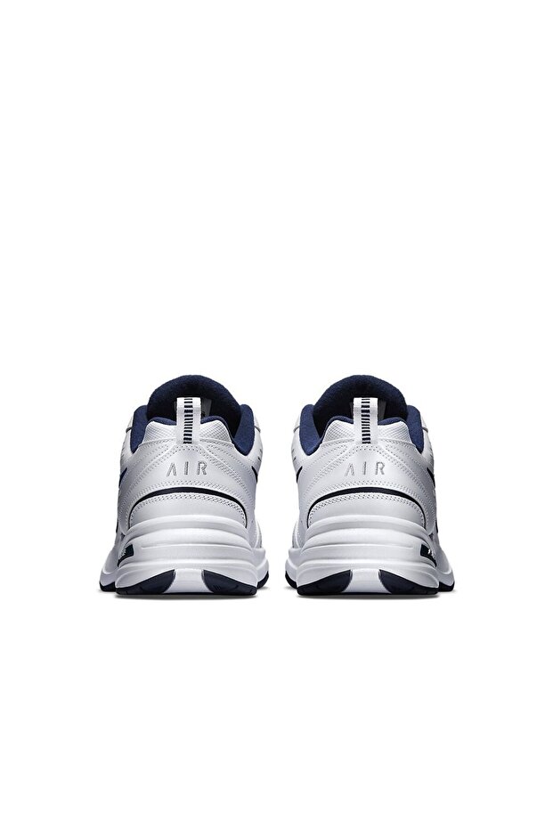 Air Monarch IV - 2
