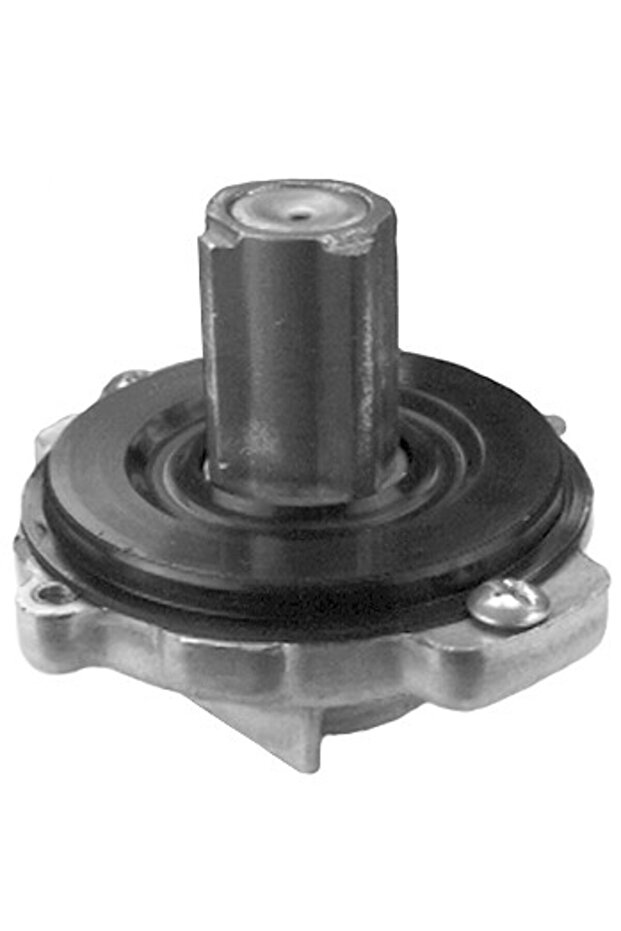 Bendix Briggs și Stratton (399671) - 1