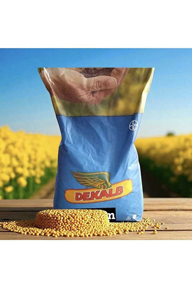 EXCEPTİON HİBRİT KANOLA TOHUMU - 1