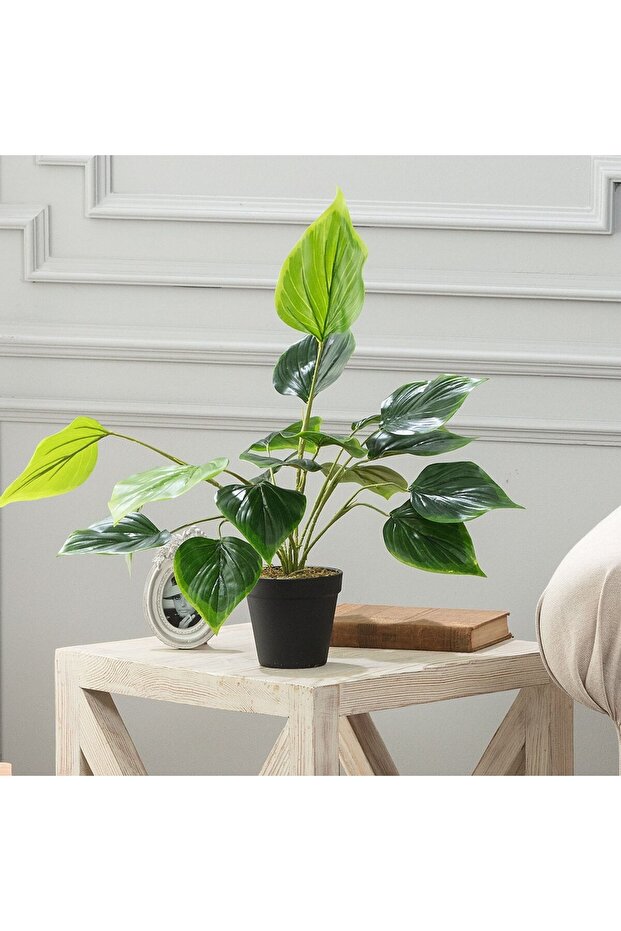 Verdure Topfpflanze - 1