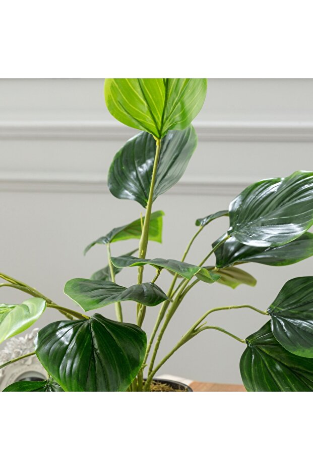 Verdure Topfpflanze - 2