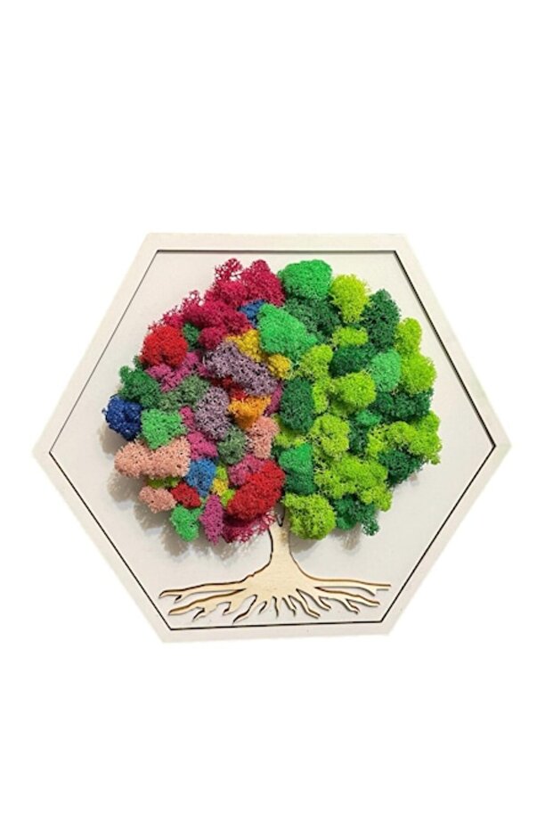Hexagonal Frame with Stabilized Moss, Multicolor, 30 cm, White Frame - 1