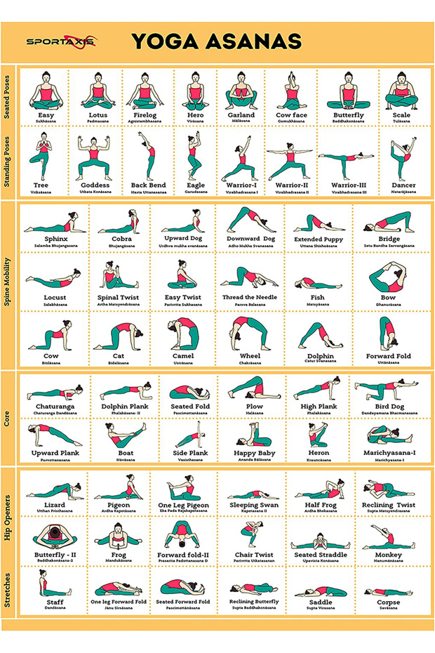 Yoga Poses Themed Poster (35X50 cm)