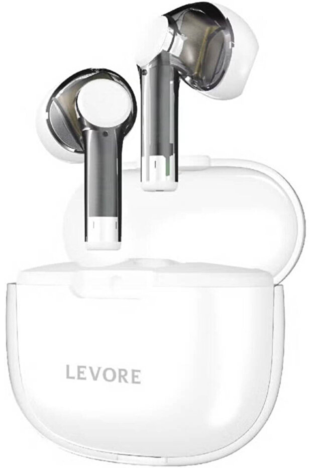 LBT310 TWS Earphone