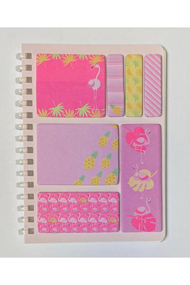 دفتر ملاحظات حلزوني A6 + فهرس (بولي بروبيلين) + مجموعة أوراق ملاحظات لاصقة بتصميم فلامنغو - 1