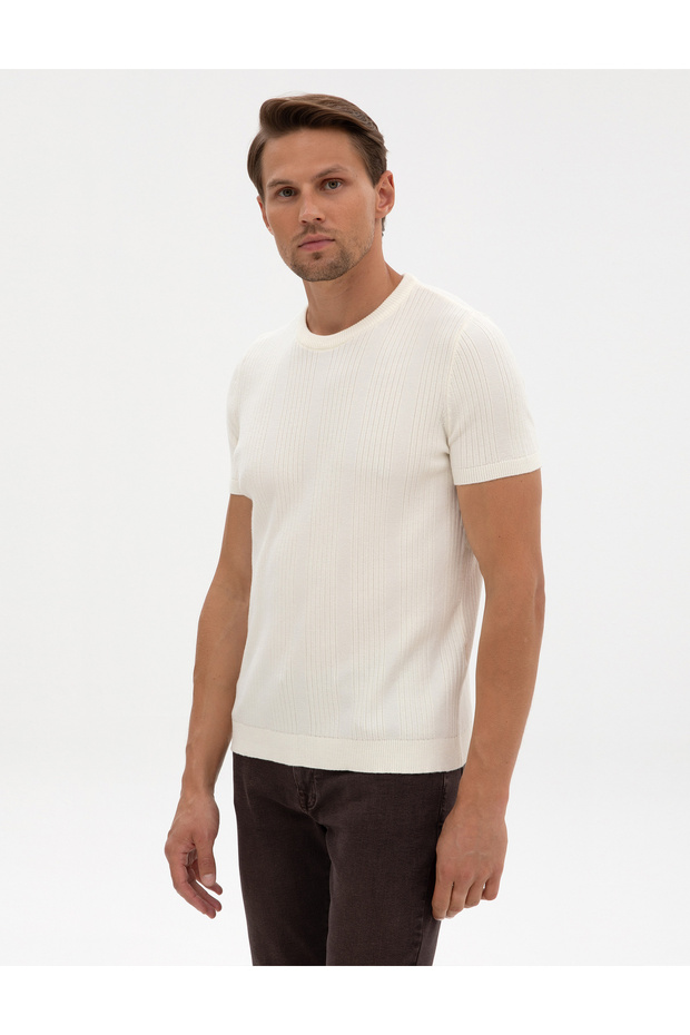 Ecru Slim Fit Crew Neck Knitwear Sweater 50315689-Vr019